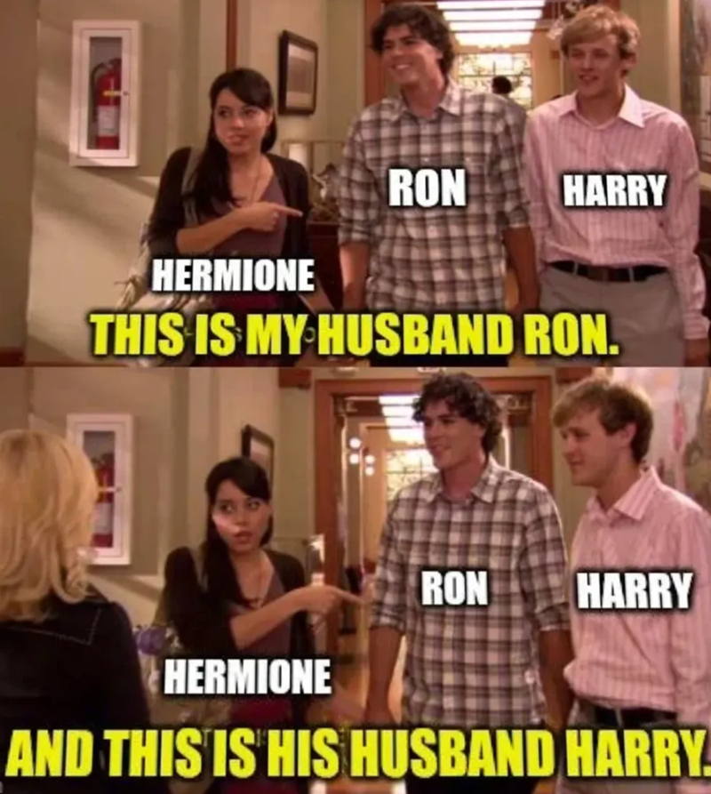 HERMIONE RON HARRY THIS IS MY HUSBAND RON. RON HARRY HERMIONE AND THIS IS HIS HUSBAND HARRY