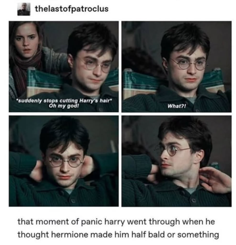 thelastofpatroclus "suddenly stops cutting Harry's hair" Oh my god! What?! that moment of panic harry went through when he thought hermione made him half bald or something