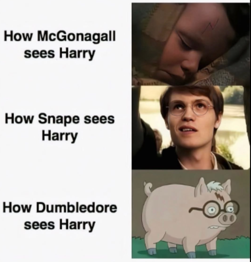 How McGonagall sees Harry How Snape sees Harry How Dumbledore sees Harry