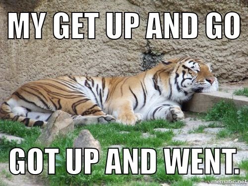 MY GET UP AND GO GOT UP AND WENT mematic.net