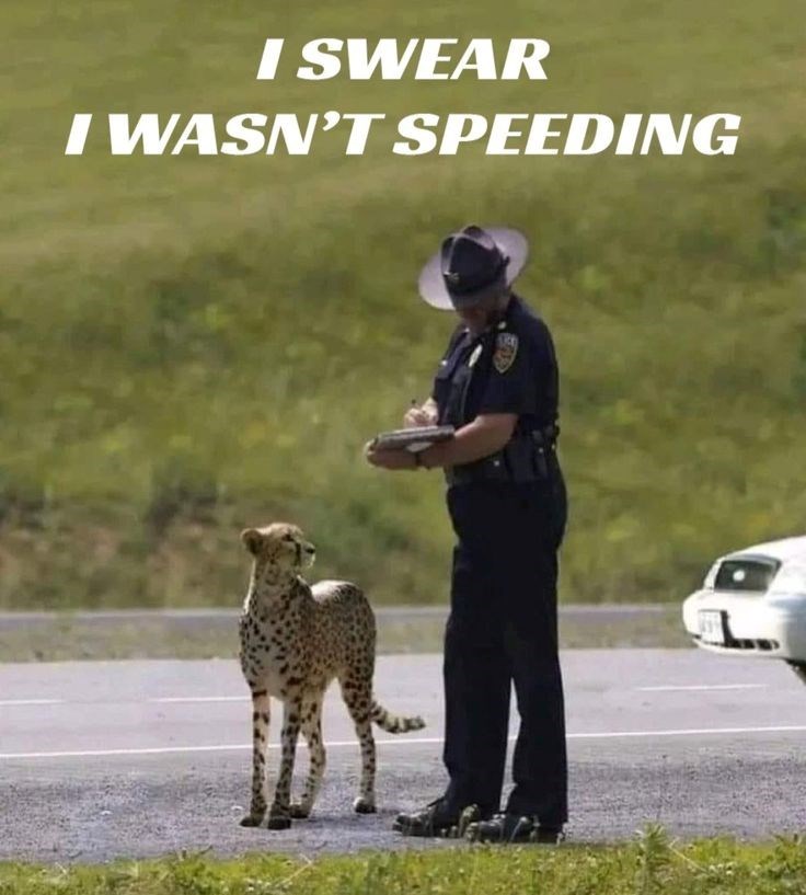 I SWEAR I WASN'T SPEEDING