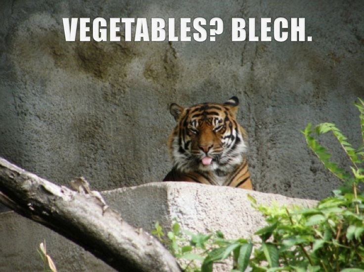 VEGETABLES? BLECH.
