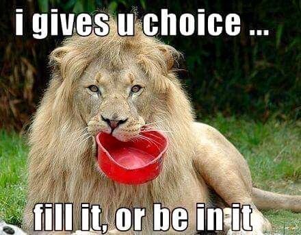 i gives u choice... fill it, or be in it