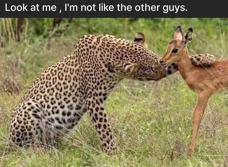 Look at me, I'm not like the other guys.