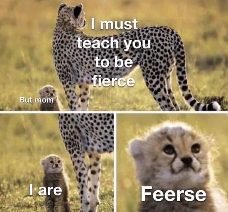 But mom I must teach you to be fierce I are Feerse