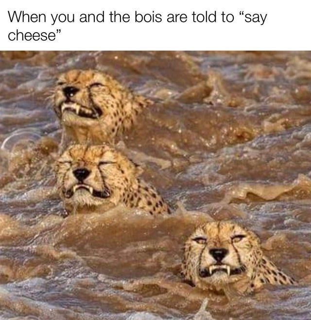 When you and the bois are told to "say cheese"