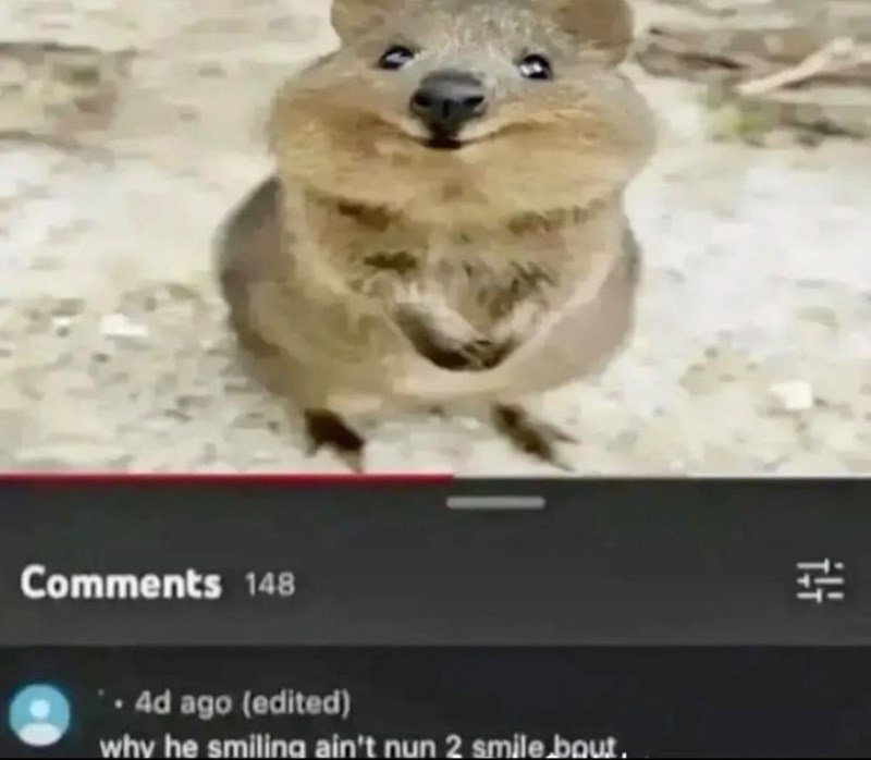 Comments 148 Ad ago (edited) why he smiling ain't nun 2 smile.bout. 街