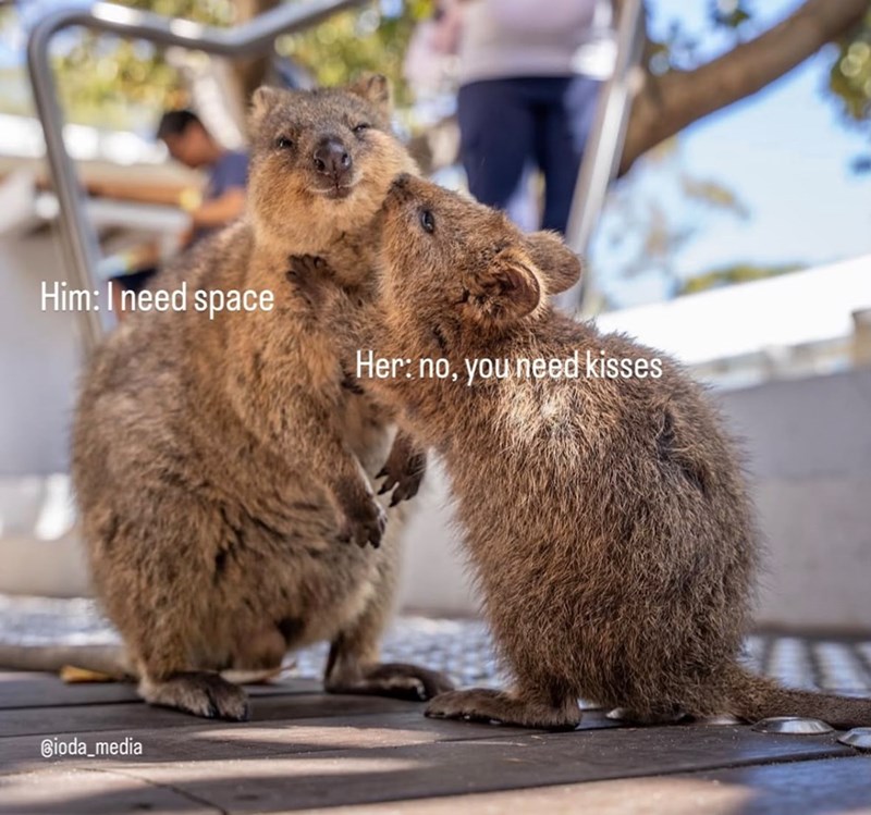 Him: I need space Her: no, you need kisses Bioda_media