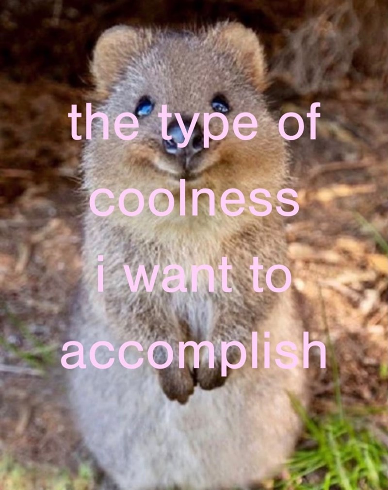 the type of coolness I want to. accomplish