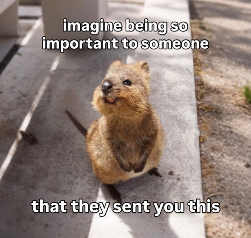 imagine being so important to someone that they sent you this