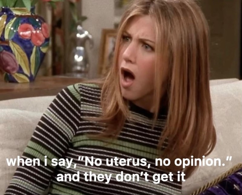 when i say, "No uterus, no opinion." and they don't get it