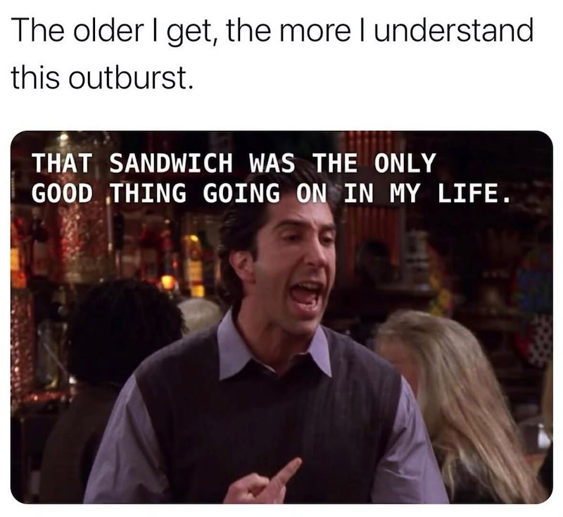 The older I get, the more I understand this outburst. THAT SANDWICH WAS THE ONLY GOOD THING GOING ON IN MY LIFE.
