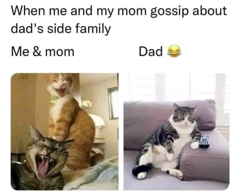 When me and my mom gossip about dad's side family Me & mom Dad