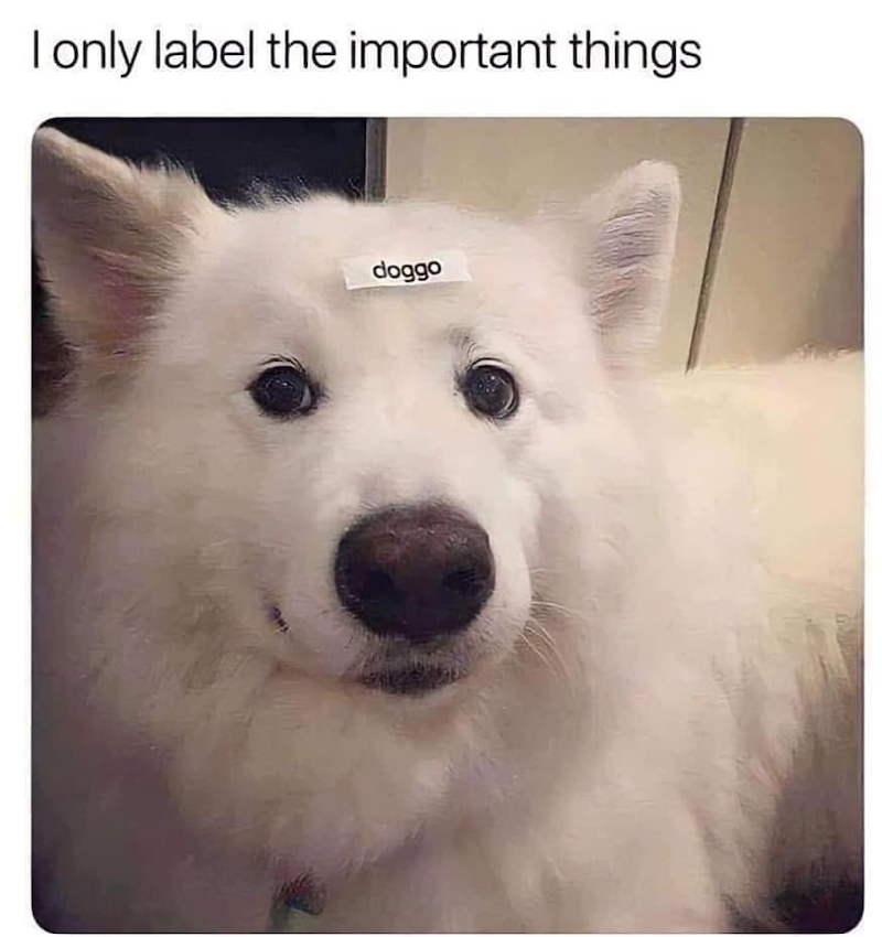 I only label the important things doggo