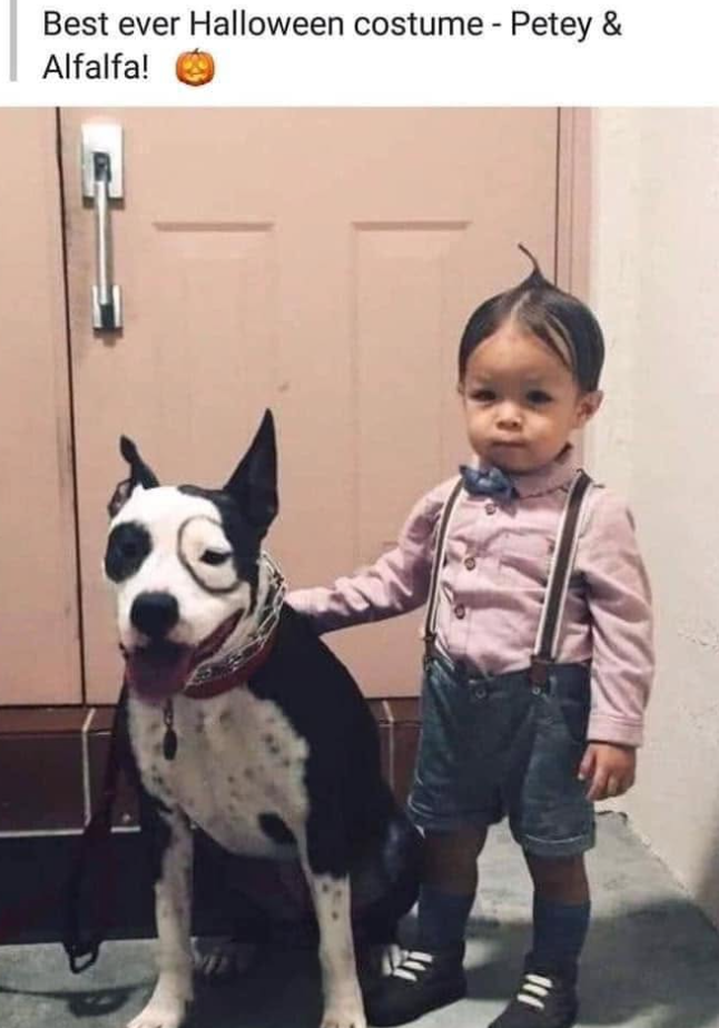 Best ever Halloween costume - Petey & Alfalfa!