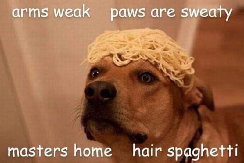 arms weak paws are sweaty masters home hair spaghetti