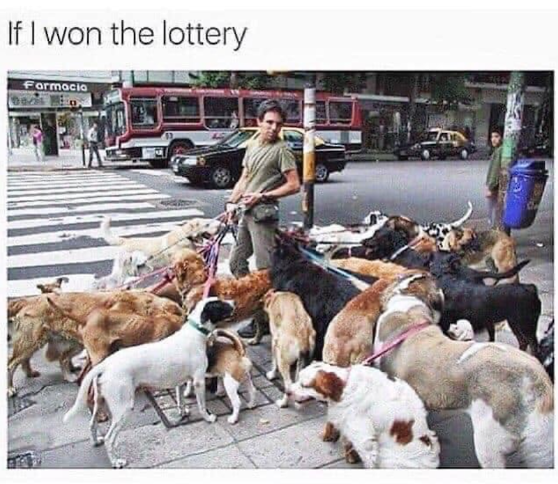 If I won the lottery Formacio