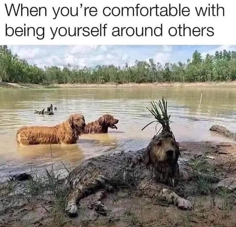 When you're comfortable with being yourself around others.