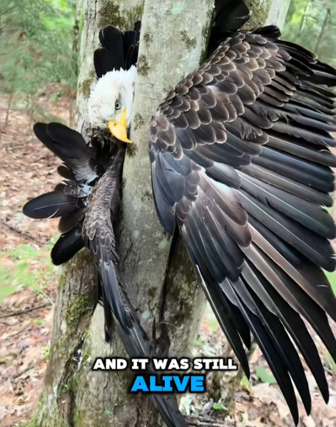 AND IT WAS STILL ALIVE