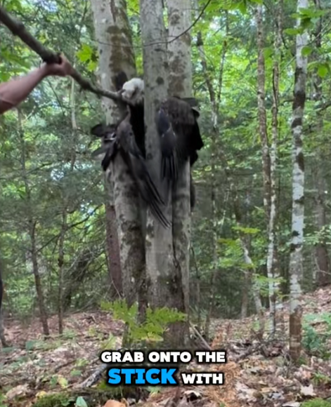 GRAB ONTO THE STICK WITH