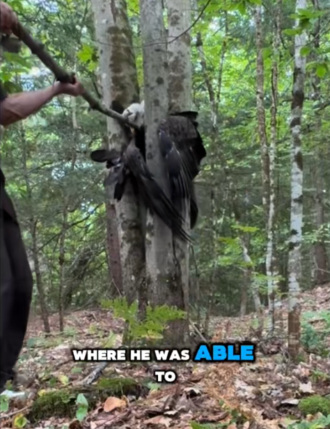 WHERE HE WAS ABLE ΤΟ