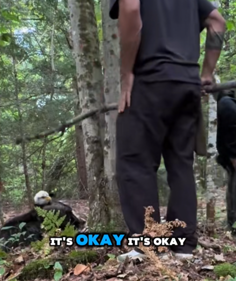 IT'S OKAY IT'S OKAY