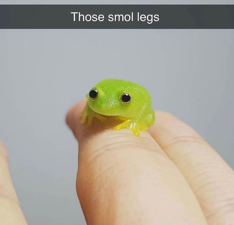 Those smol legs