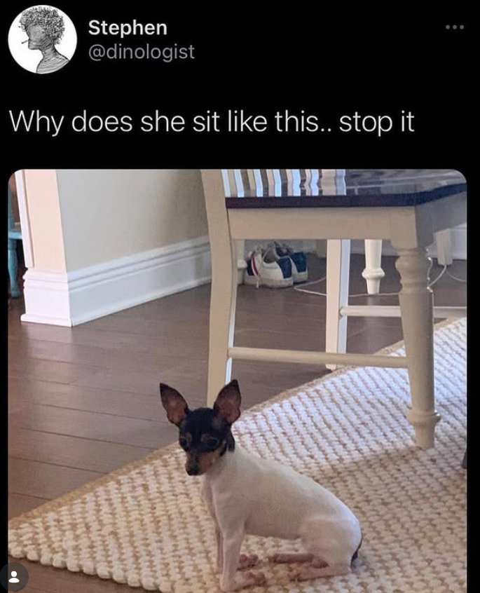 Stephen @dinologist Why does she sit like this.. stop it
