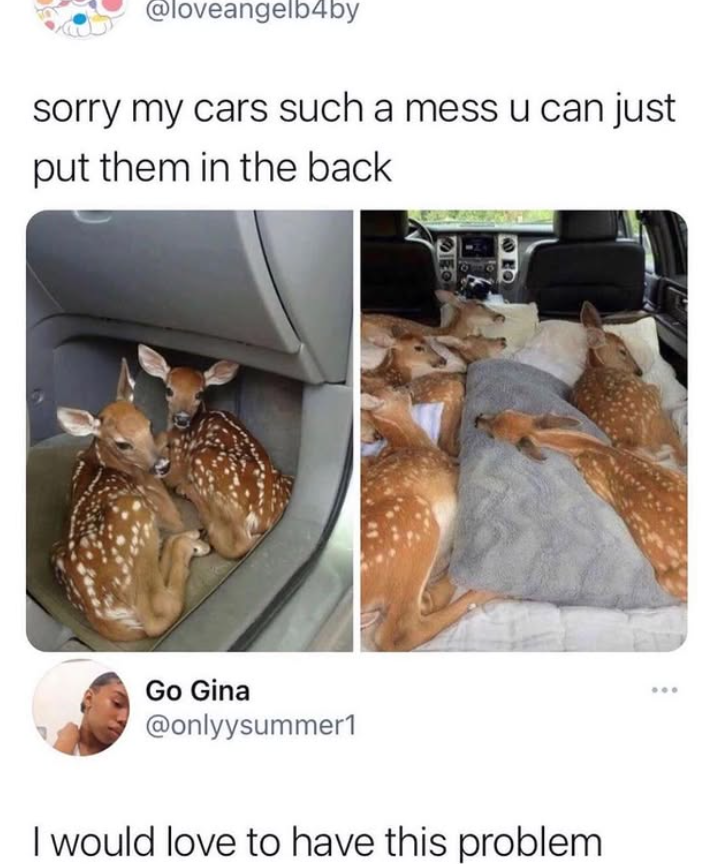 @loveangelb4by sorry my cars such a mess u can just put them in the back Go Gina @onlyysummer1 I would love to have this problem