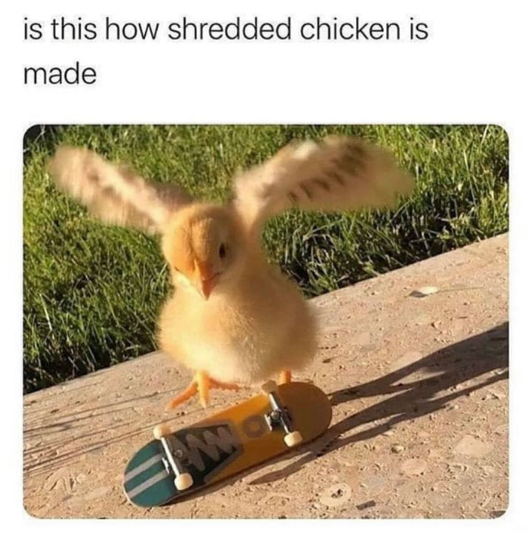 is this how shredded chicken is made