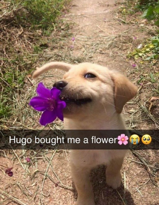 Hugo bought me a flower