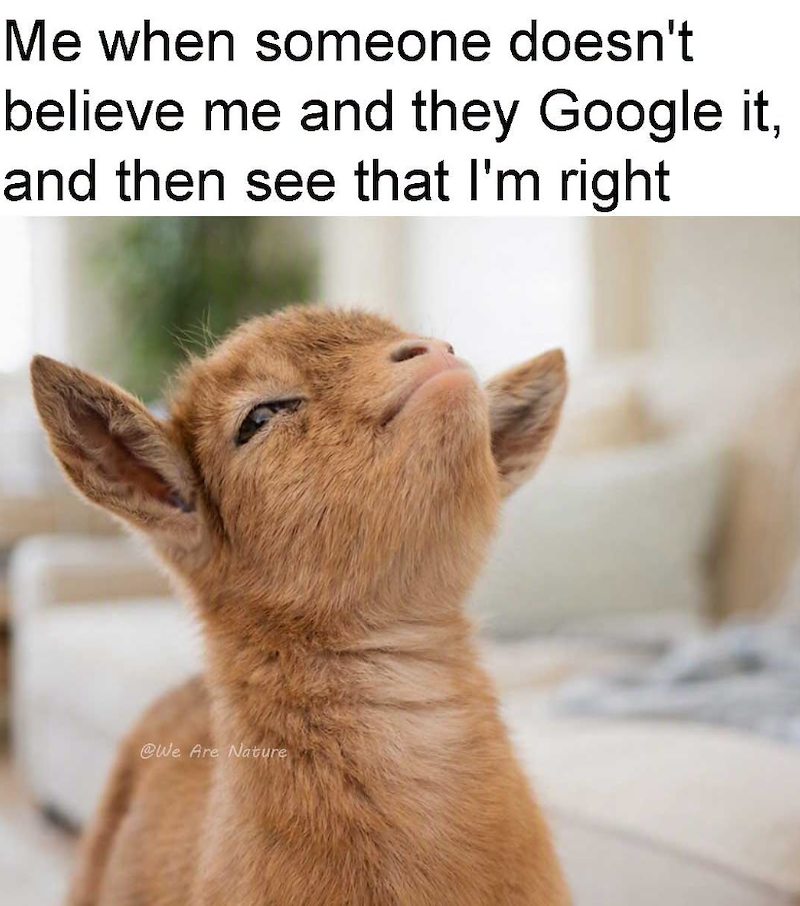 Me when someone doesn't believe me and they Google it, and then see that I'm right @We Are Nature