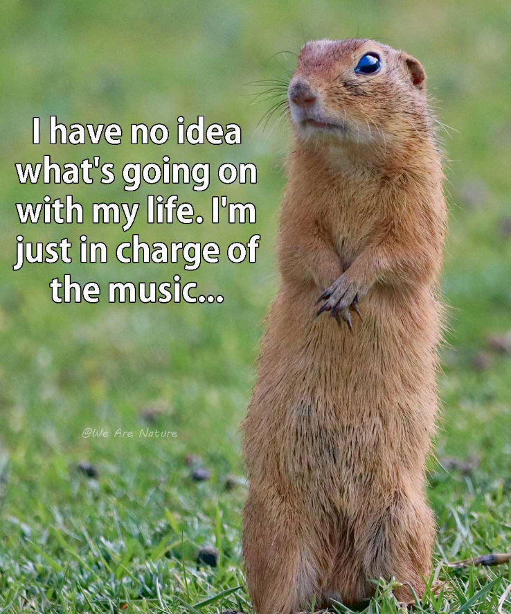 I have no idea what's going on with my life. I'm just in charge of the music... @We Are Nature