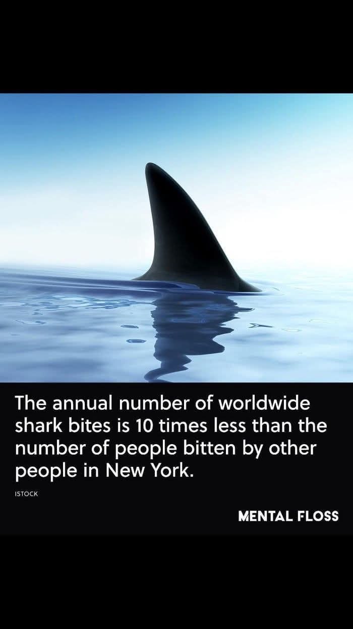 The annual number of worldwide shark bites is 10 times less than the number of people bitten by other people in New York. ISTOCK MENTAL FLOSS