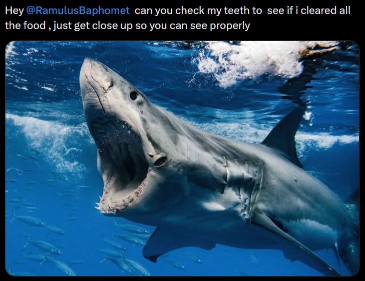 Hey @Ramulus Baphomet can you check my teeth to see if i cleared all the food, just get close up so you can see properly