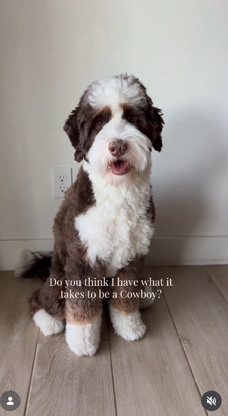 Do you think I have what it takes to be a Cowboy?