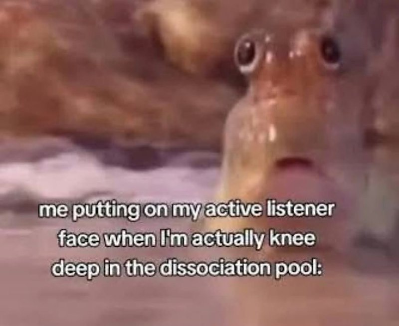 me putting on my active listener face when I'm actually knee deep in the dissociation pool: