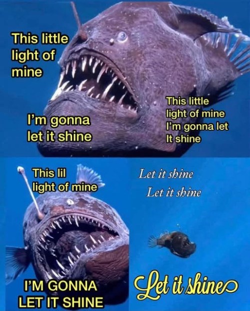 This little light of mine I'm gonna let it shine This little light of mine I'm gonna let It shine This lil Let it shine light of mine Let it shine I'M GONNA LET IT SHINE Let it shine