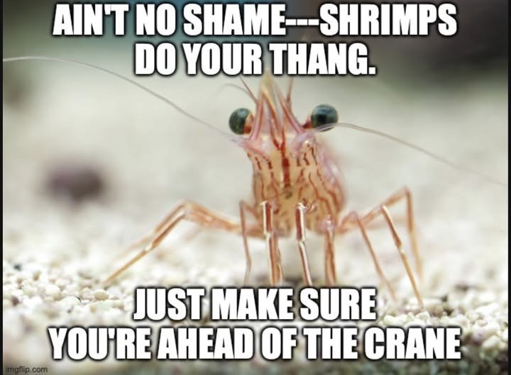 AIN'T NO SHAME---SHRIMPS DO YOUR THANG. imgflip.com JUST MAKE SURE YOU'RE AHEAD OF THE CRANE