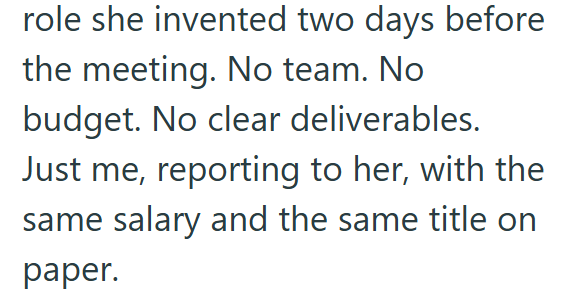 role she invented two days before the meeting. No team. No budget. No clear deliverables. Just me, reporting to her, with the same salary and the same title on paper.