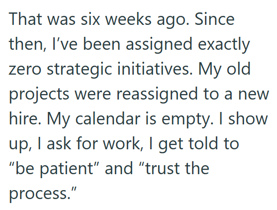 That was six weeks ago. Since then, I've been assigned exactly zero strategic initiatives. My old projects were reassigned to a new hire. My calendar is empty. I show up, I ask for work, I get told to "be patient" and "trust the process."