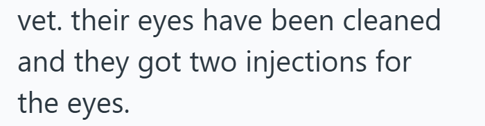 vet. their eyes have been cleaned and they got two injections for the eyes.