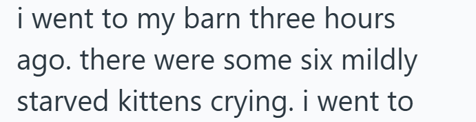i went to my barn three hours ago. there were some six mildly starved kittens crying. i went to