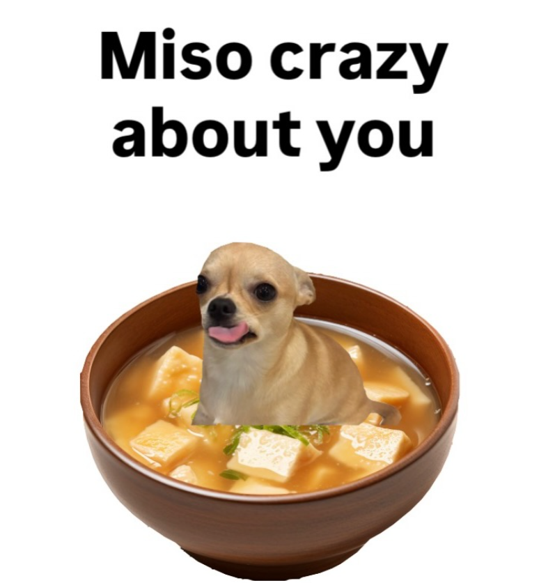 Miso crazy about you