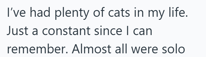 I've had plenty of cats in my life. Just a constant since I can remember. Almost all were solo
