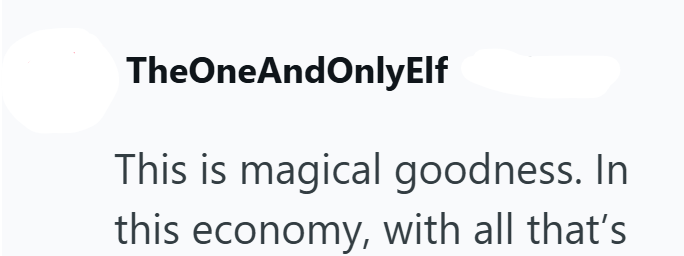 TheOneAndOnlyElf This is magical goodness. In this economy, with all that's
