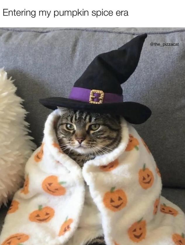 Entering my pumpkin spice era @the_pizzacat