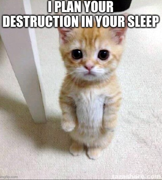 I PLAN YOUR DESTRUCTION IN YOUR SLEEP imgflip.com