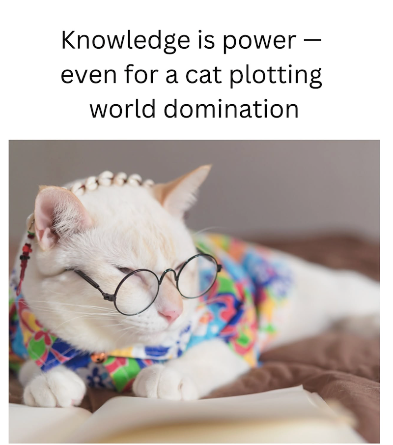 - Knowledge is power · even for a cat plotting. world domination