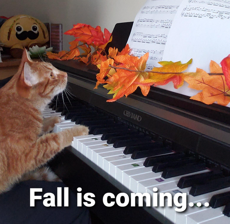 CHVIANO Fall is coming...